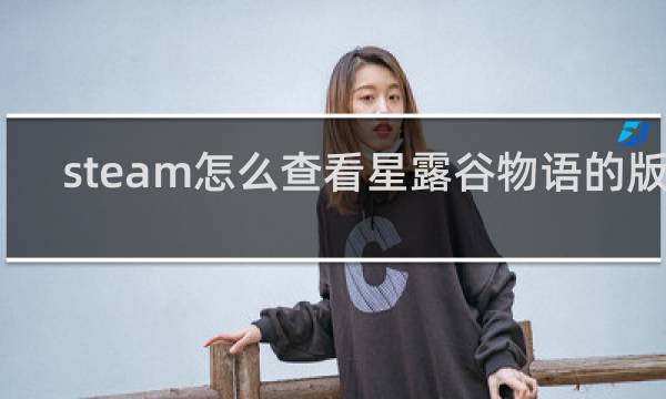 steam怎么查看星露谷物语的版本