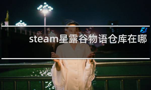 steam星露谷物语仓库在哪