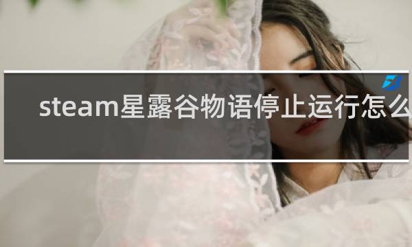 steam星露谷物语停止运行怎么办