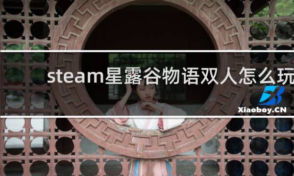 steam星露谷物语双人怎么玩