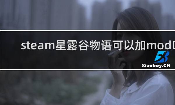 steam星露谷物语可以加mod吗