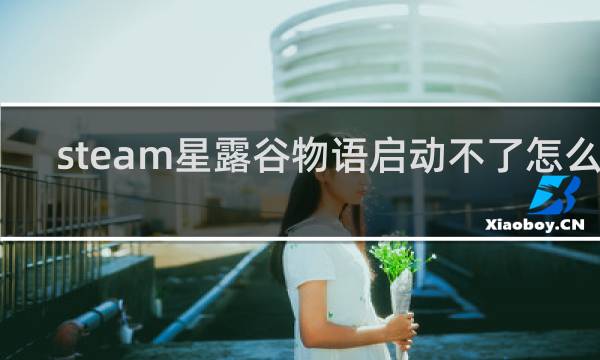 steam星露谷物语启动不了怎么办