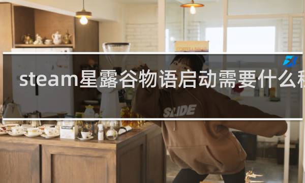 steam星露谷物语启动需要什么程序