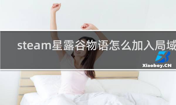 steam星露谷物语怎么加入局域网