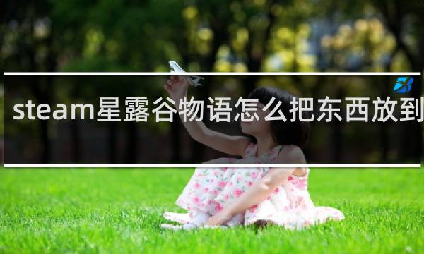 steam星露谷物语怎么把东西放到地上