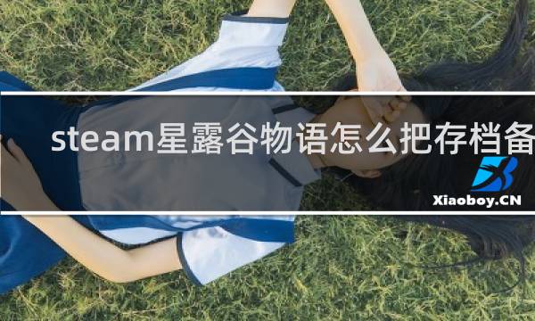 steam星露谷物语怎么把存档备份