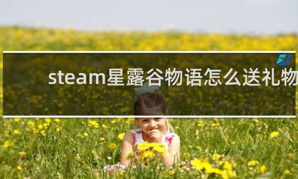 steam星露谷物语怎么送礼物