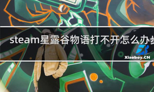 steam星露谷物语打不开怎么办步骤