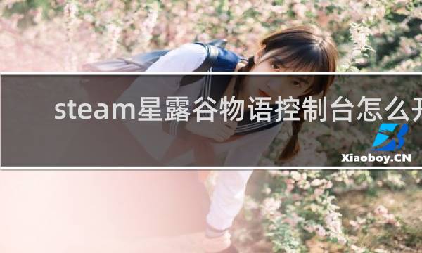 steam星露谷物语控制台怎么开