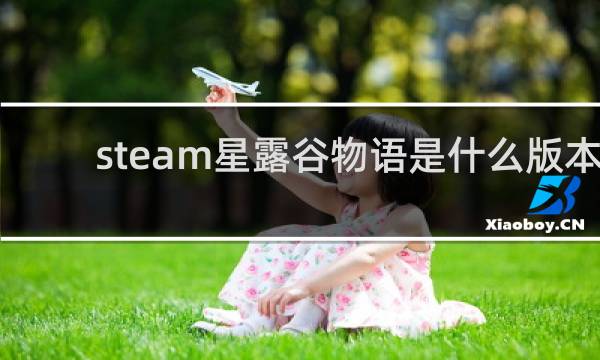 steam星露谷物语是什么版本