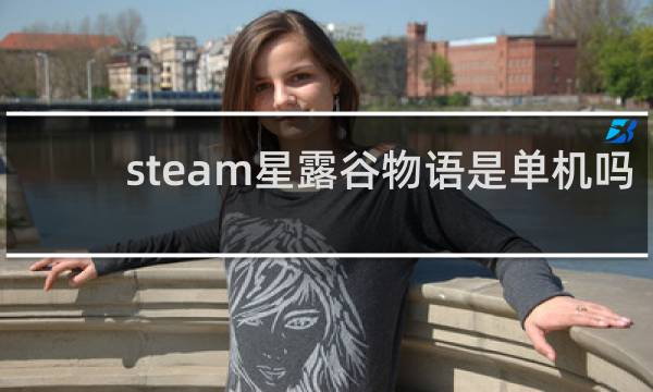 steam星露谷物语是单机吗