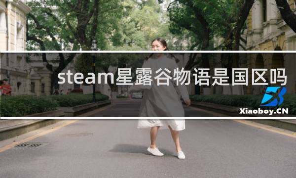 steam星露谷物语是国区吗