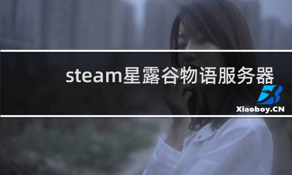 steam星露谷物语服务器