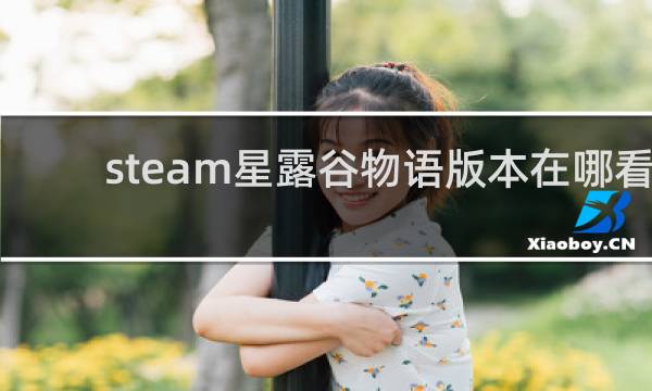 steam星露谷物语版本在哪看