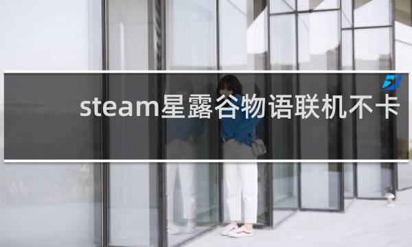 steam星露谷物语联机不卡