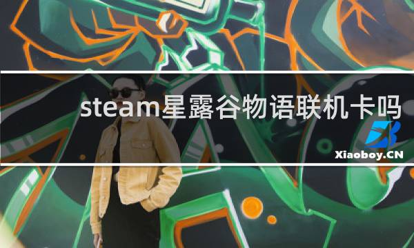 steam星露谷物语联机卡吗