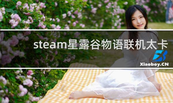 steam星露谷物语联机太卡