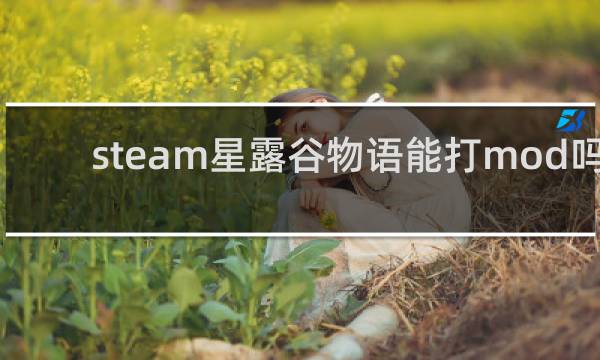 steam星露谷物语能打mod吗
