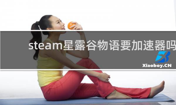 steam星露谷物语要加速器吗