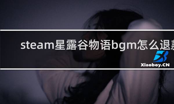 steam星露谷物语bgm怎么退款