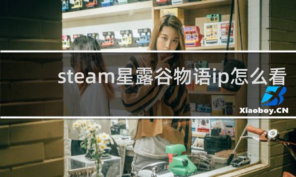 steam星露谷物语ip怎么看