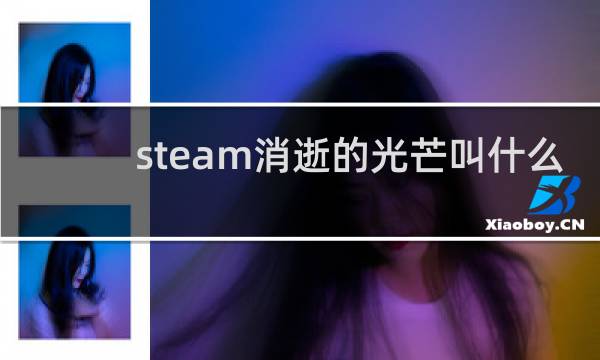 steam消逝的光芒叫什么