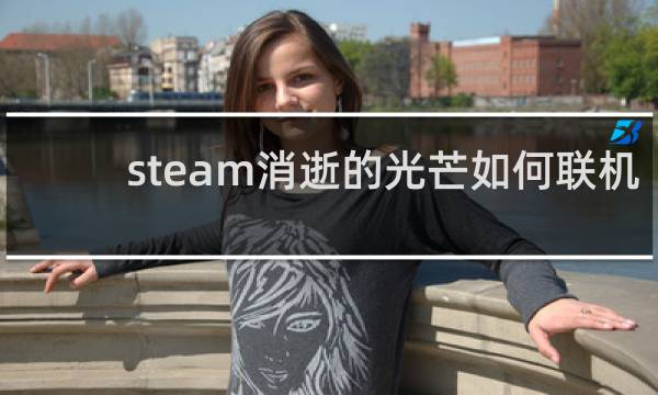 steam消逝的光芒如何联机