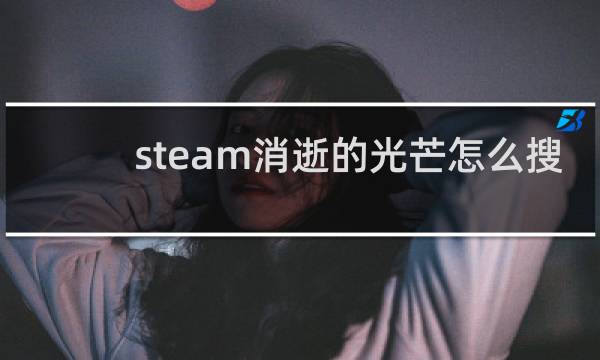 steam消逝的光芒怎么搜