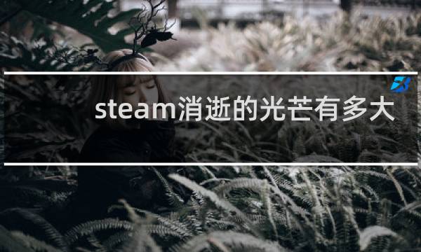 steam消逝的光芒有多大