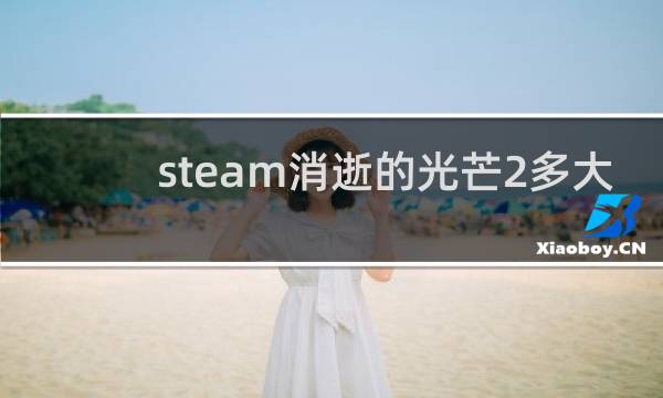 steam消逝的光芒2多大