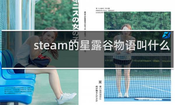 steam的星露谷物语叫什么