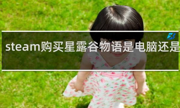 steam购买星露谷物语是电脑还是手机