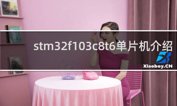 stm32f103c8t6单片机介绍
