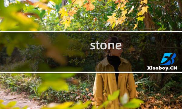 stone of life 攻略