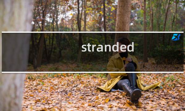 stranded survival攻略