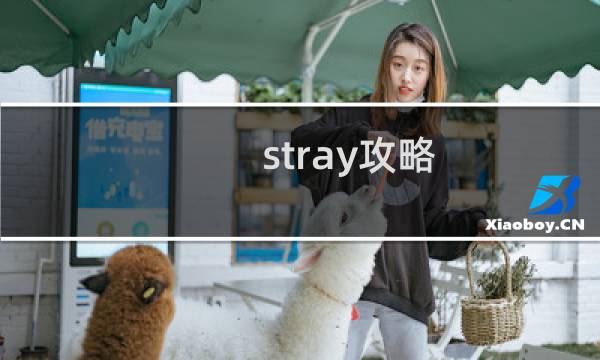 stray攻略