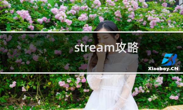 stream攻略