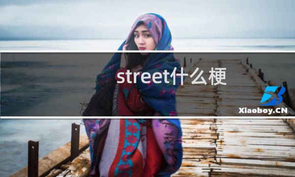 street什么梗