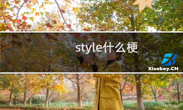 style什么梗