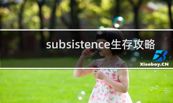 subsistence生存攻略