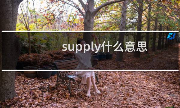 supply什么意思（英语supply什么意思）图片