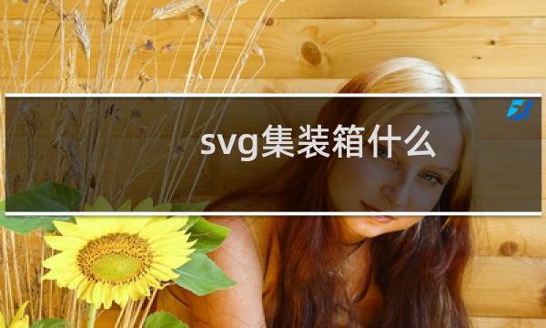 svg集装箱什么