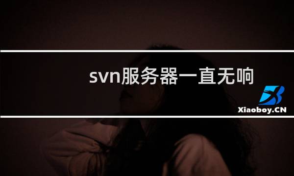 svn服务器一直无响应-云服务器问题