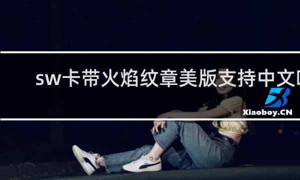 sw卡带火焰纹章美版支持中文吗