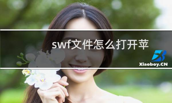 swf文件怎么打开苹果手机（swf文件怎么打开）图片