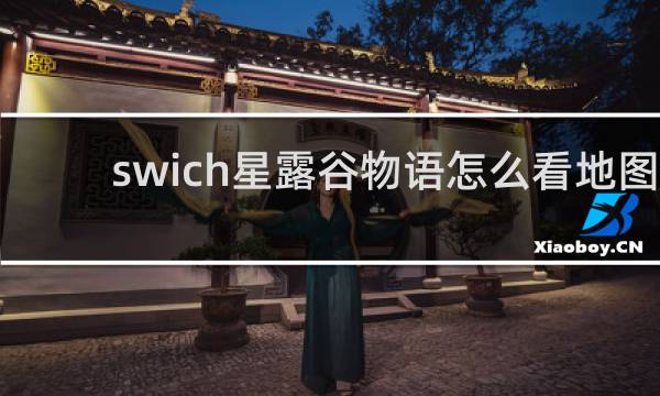 swich星露谷物语怎么看地图