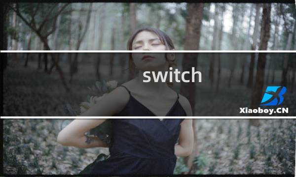 switch 鲤 攻略