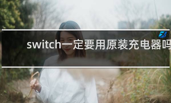 switch一定要用原装充电器吗