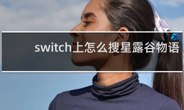 switch上怎么搜星露谷物语
