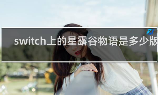 switch上的星露谷物语是多少版本